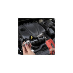 64Pcs Master Torx Bit Socket and External Torx Socket Set